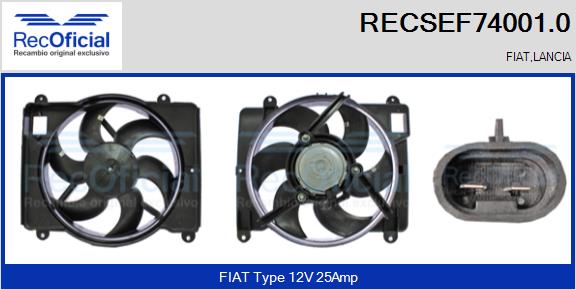 RECSEF74001.0