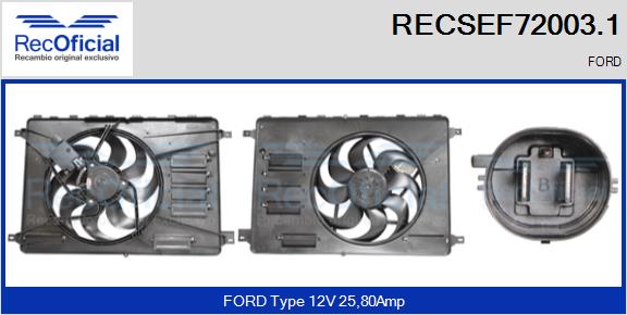 RECSEF72003.1