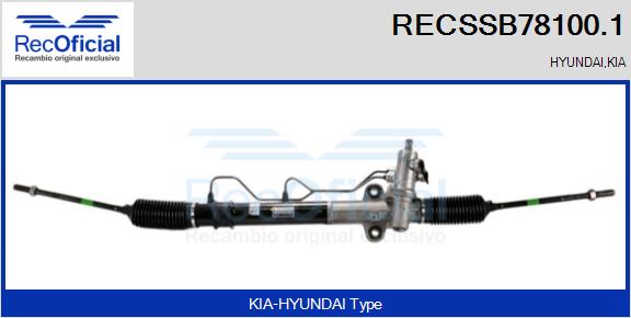 RECSSB78100.1
