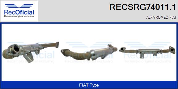 RECSRG74011.1