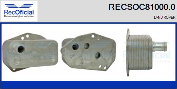 RECSOC81000.0