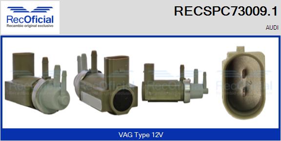 RECSPC73009.1