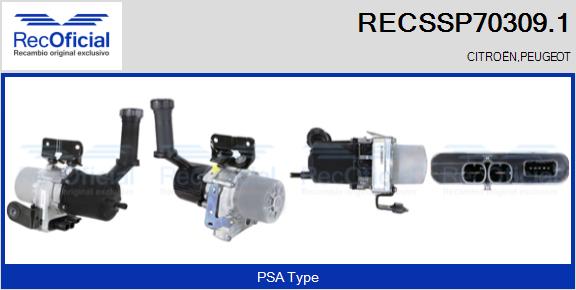 RECSSP70309.1