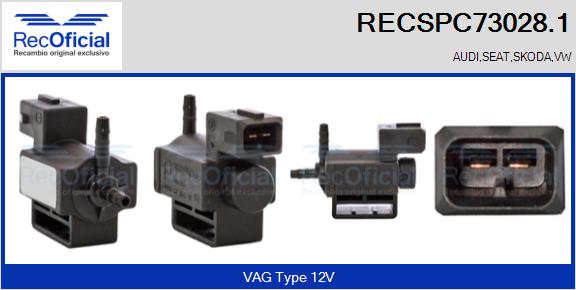 RECSPC73028.1