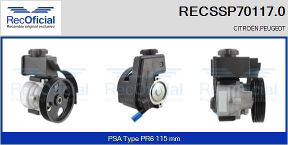 RECSSP70117.0