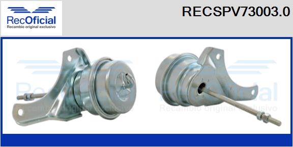 RECSPV73003.0