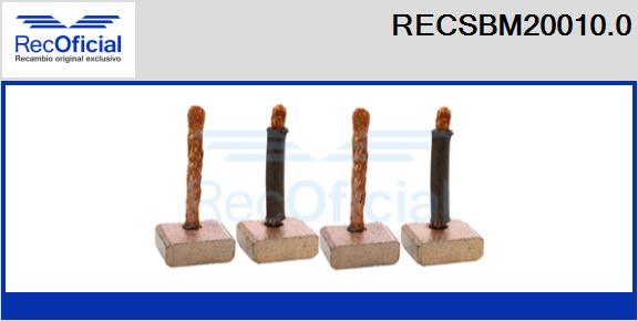 RECSBM20010.0