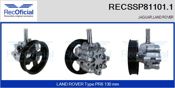 RECSSP81101.1