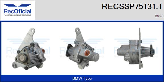 RECSSP75131.1