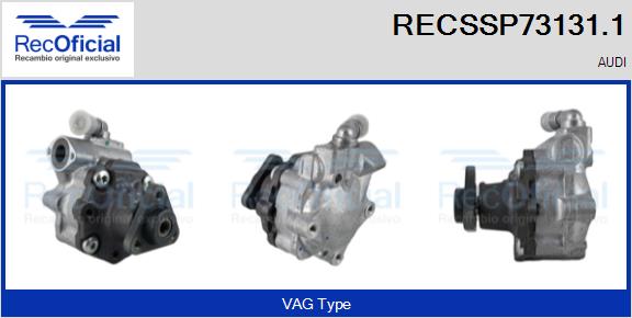 RECSSP73131.1
