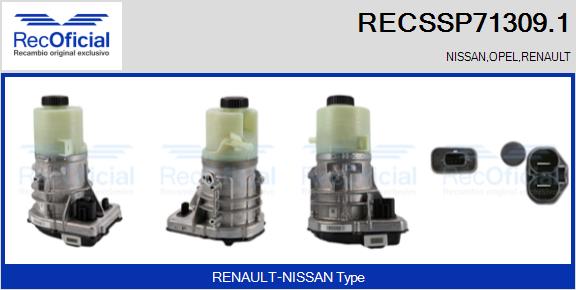 RECSSP71309.1