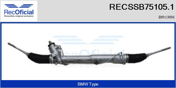 RECSSB75105.1