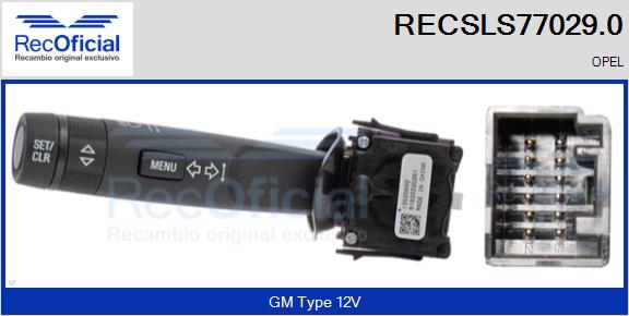 RECSLS77029.0