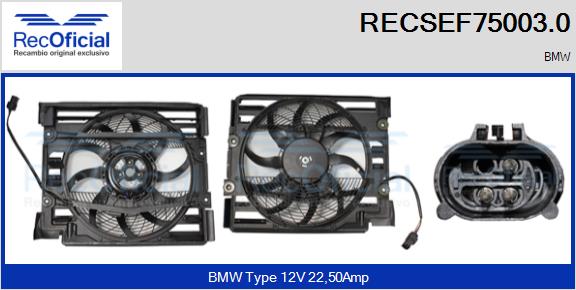 RECSEF75003.0
