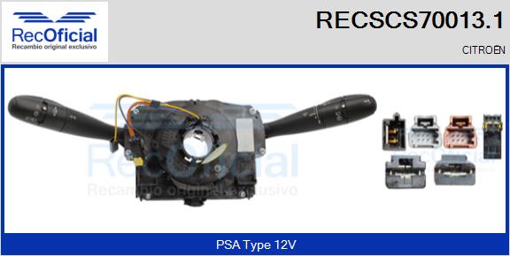 RECSCS70013.1