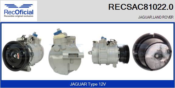 RECSAC81022.0