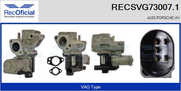 RECSVG73007.1