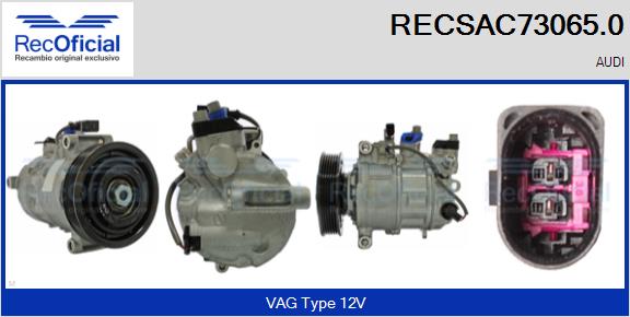 RECSAC73065.0