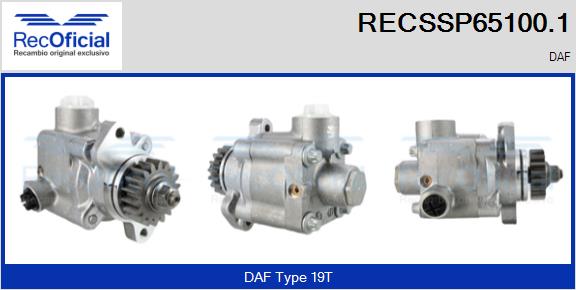 RECSSP65100.1