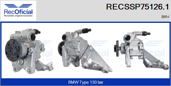 RECSSP75126.1