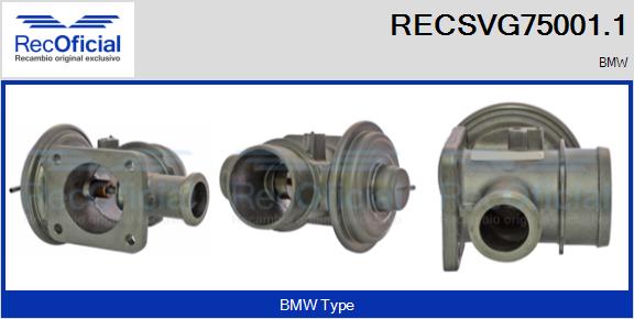 RECSVG75001.1