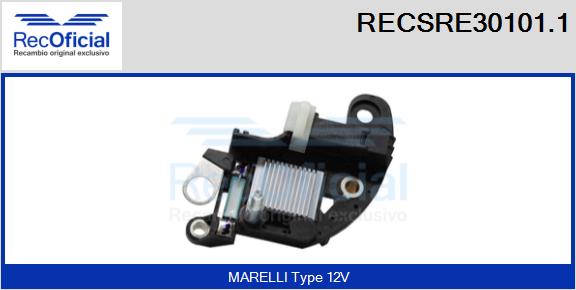RECSRE30101.1