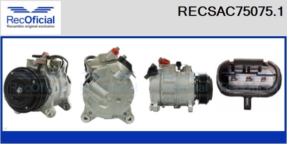 RECSAC75075.1