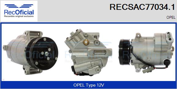RECSAC77034.1