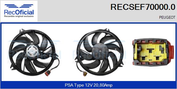 RECSEF70000.0