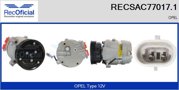 RECSAC77017.1