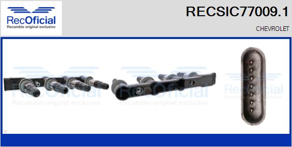 RECSIC77009.1