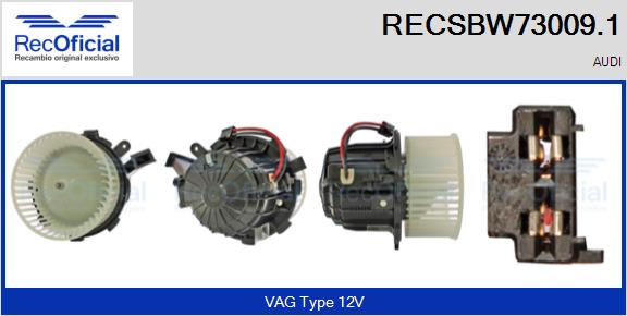 RECSBW73009.1