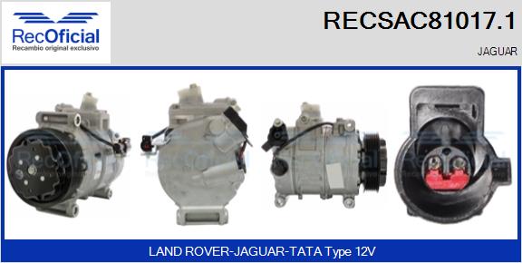 RECSAC81017.1