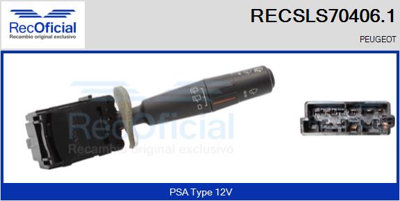RECSLS70406.1