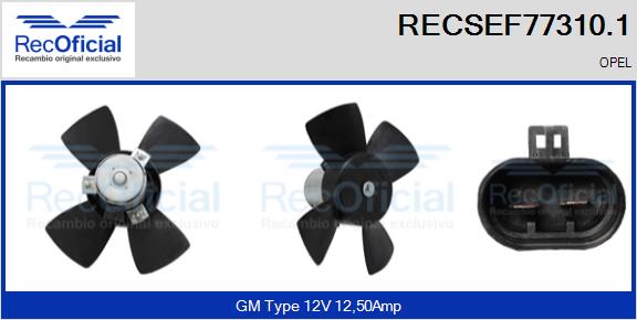 RECSEF77310.1