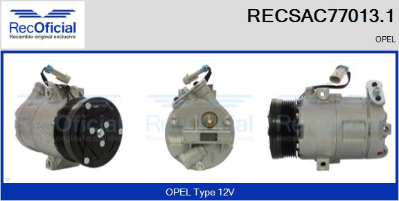 RECSAC77013.1