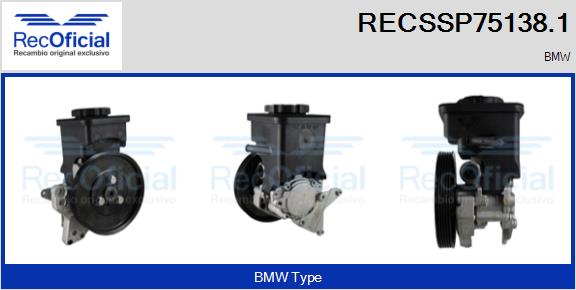 RECSSP75138.1