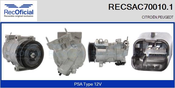 RECSAC70010.1