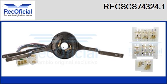 RECSCS74324.1