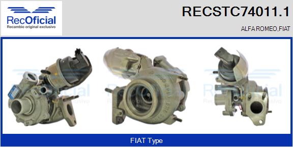 RECSTC74011.1