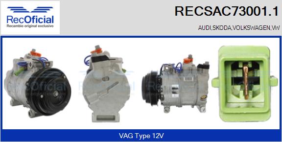 RECSAC73001.1