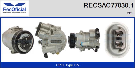 RECSAC77030.1
