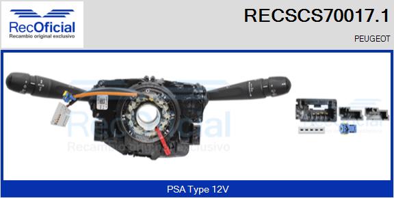 RECSCS70017.1