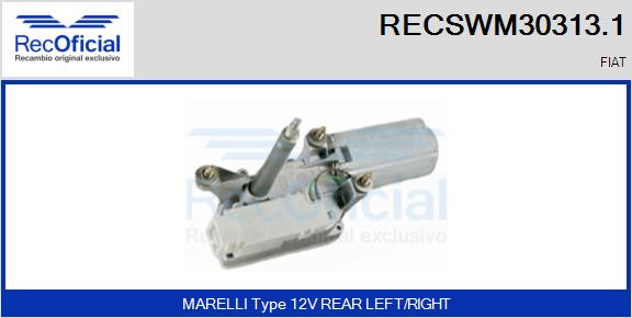 RECSWM30313.1