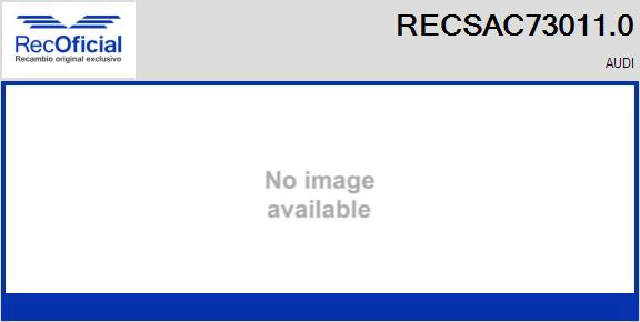RECSAC73011.0