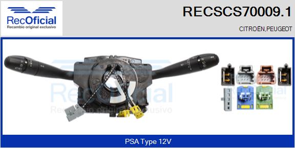 RECSCS70009.1
