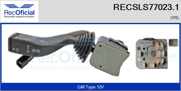 RECSLS77023.1