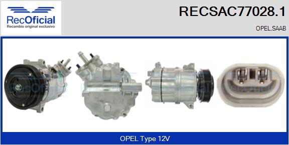 RECSAC77028.1