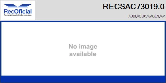 RECSAC73019.0
