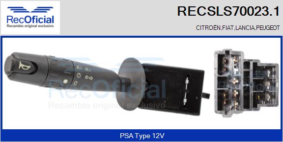 RECSLS70023.1